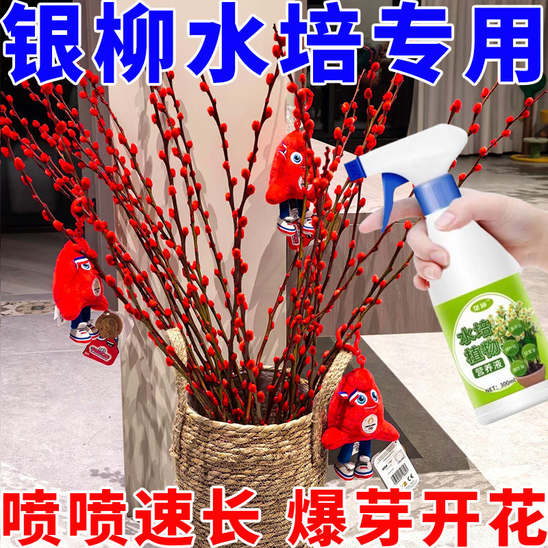 招财银柳专用营养液延长花期防落叶枯萎保花色年宵花免稀释通用肥,鲜花速递/花卉仿真/绿植园艺,家庭园艺肥料,淘宝优惠券,粉丝福利购,淘宝优惠卷