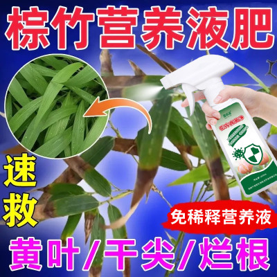 【防黄叶】棕竹营养液棕竹专用肥除菌剂黄叶干尖叶斑病炭疽病根腐