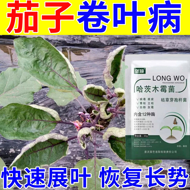 茄子卷叶病专用微生物肥料病毒病黄叶小叶卷叶缩叶畸形叶病害菌剂