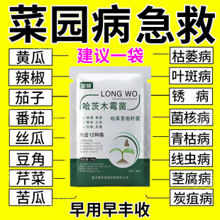 菜园蔬菜病害清专用肥料抗病毒霜霉炭疽黄瓜茄子西葫芦芹菜西红柿