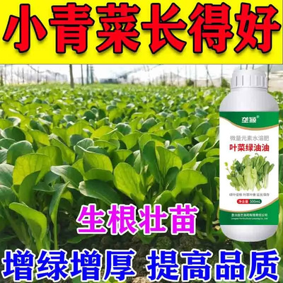 小青菜肥料专用肥促长绿油油抗病