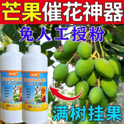 芒果专用催花授粉坐果剂促花芽分化保花保果防落花落果增产叶面肥