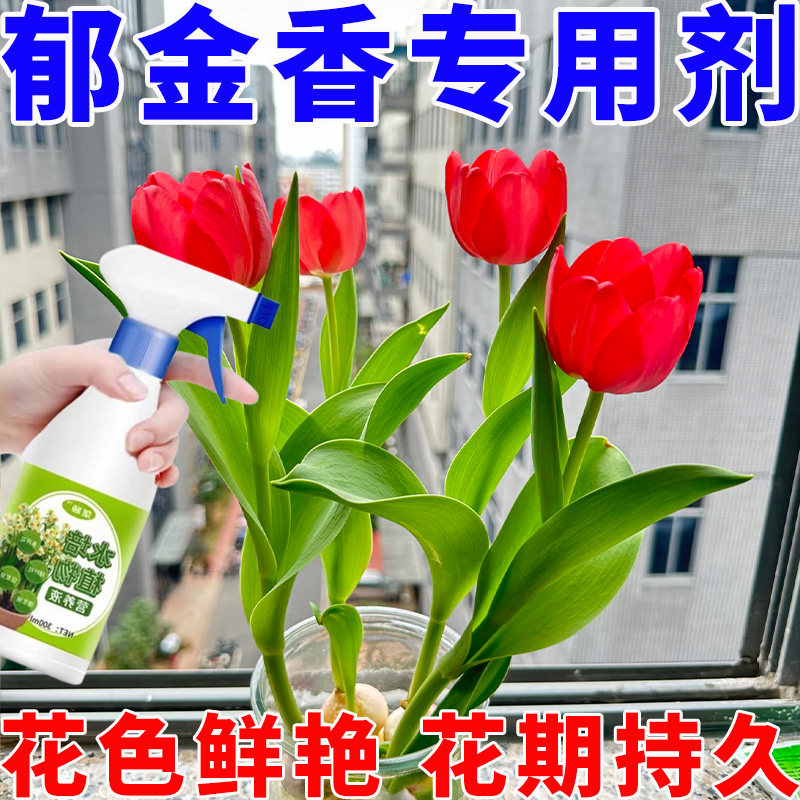 郁金香专用植物营养液【水培种球】肥微量元素家用促开花爆芽养根,鲜花速递/花卉仿真/绿植园艺,家庭园艺肥料,淘宝优惠券,粉丝福利购,淘宝优惠卷