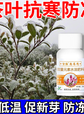 茶树防冻剂茶叶专用防冻液抗冻剂防寒防冻抗寒剂茶园常备浓缩肥料