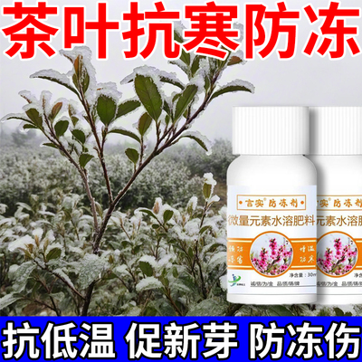 茶树防冻剂茶叶专用防冻液抗冻剂防寒防冻抗寒剂茶园常备浓缩肥料