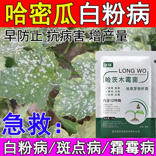 哈密瓜白粉病专用白斑白霜白色斑点枯萎叶斑蔓枯猝倒根腐水溶肥料