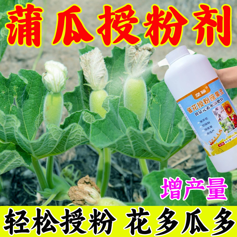 蒲瓜授粉剂坐瓜灵专用增瓜灵蒲瓜保花保果免人工点花瓠瓜西葫芦肥