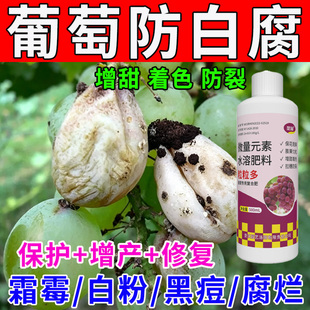 葡萄白腐专用叶面肥防果穗腐烂脱落果粒变褐软烂葡萄专用复合肥料