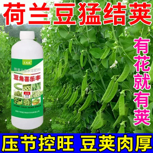 荷兰豆提苗促长叶面肥生根壮苗豆粒饱满荷兰豆膨大催长增产增收肥