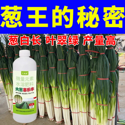 【想让大葱长的好？】葱王专用肥生根壮苗提苗助长葱白拉长拉直肥