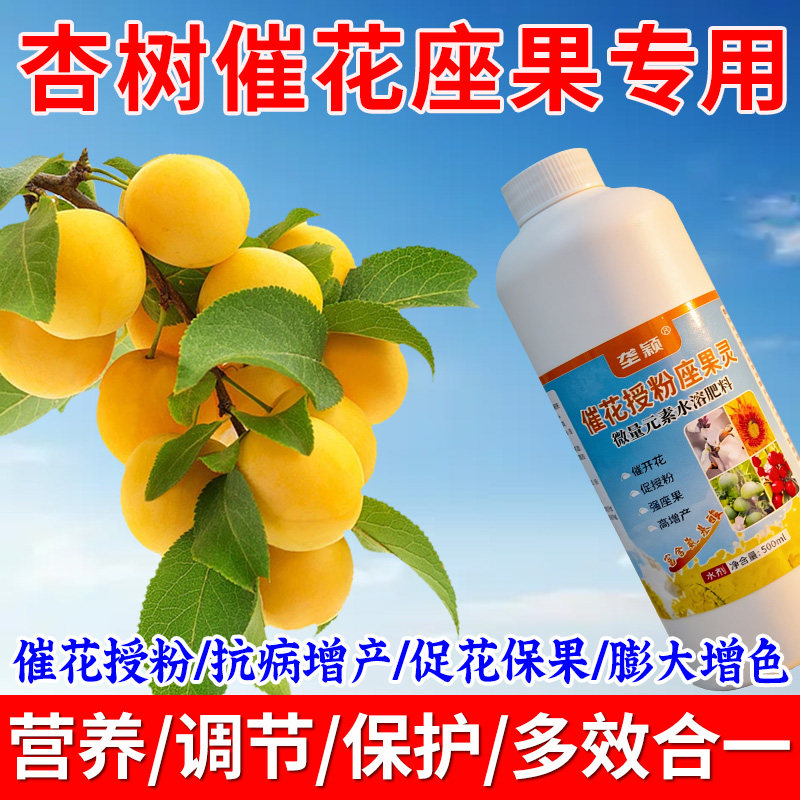 杏树授粉座果专用肥催花快开花多强座果【免人工授粉】保花保果肥