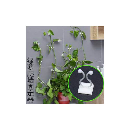 绿萝爬藤墙上固定器无痕卡不伤墙挂钩卡扣强力家用免打孔挂墙盆