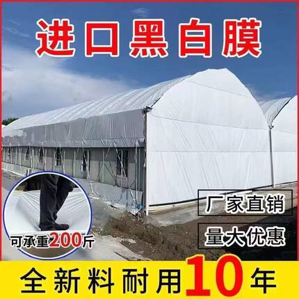 进口黑白膜加厚养殖大棚黑白膜反光隔热膜防晒塑料布食用菌防晒膜