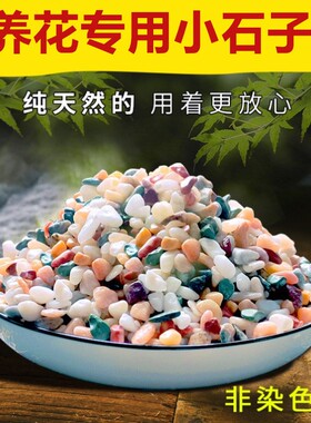 放在花盆里的小石头养花石子彩色石头花盆小彩石盆栽铺面造景装饰