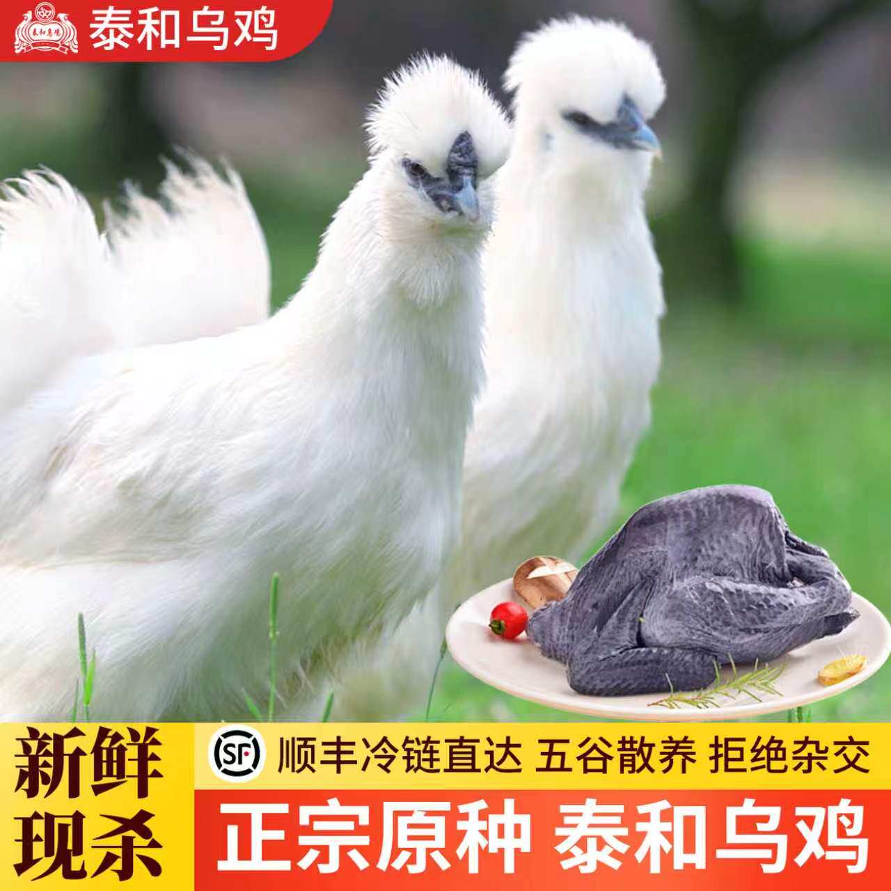 泰和乌鸡新鲜现杀整只礼盒装