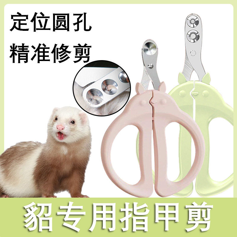 宠物貂专用指甲剪套装指甲剪指甲刀修剪指甲钳雪貂磨甲器安格鲁貂
