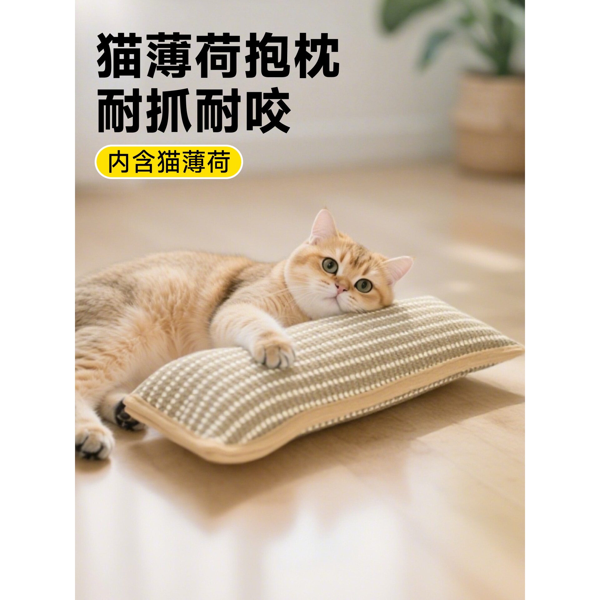 猫薄荷抱枕猫咪磨牙耐咬玩具小猫啃咬咬不烂猫自嗨解闷麻绳逗猫棒