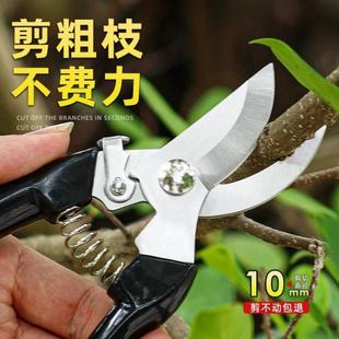 不锈钢家用园艺修枝剪修剪树枝果树盆景造型水果专用工具花艺剪刀