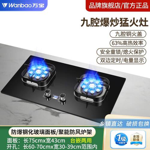 万宝瓦斯炉双口家用台式