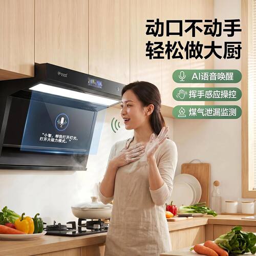 美康好太太顶侧双吸油烟