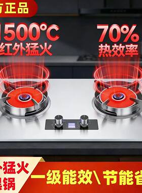 红外线瓦斯炉双口家用台