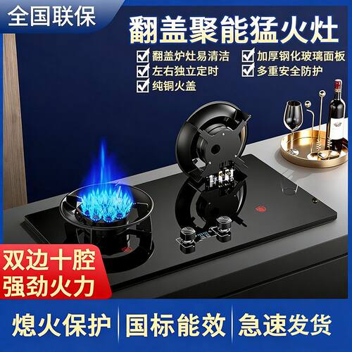 德国品牌翻盖瓦斯炉双口