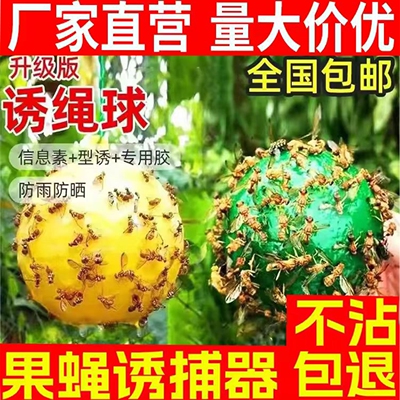 柑橘诱蝇球大实蝇粘虫球丝瓜果实蝇贴针蜂马蜂引诱剂果实蝇诱捕器