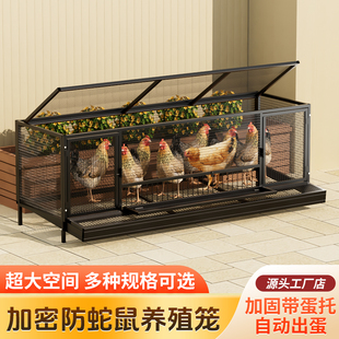 鸡笼子家用室外特大号防黄鼠狼密网防雨芦丁鸡自动清粪滚蛋养殖笼