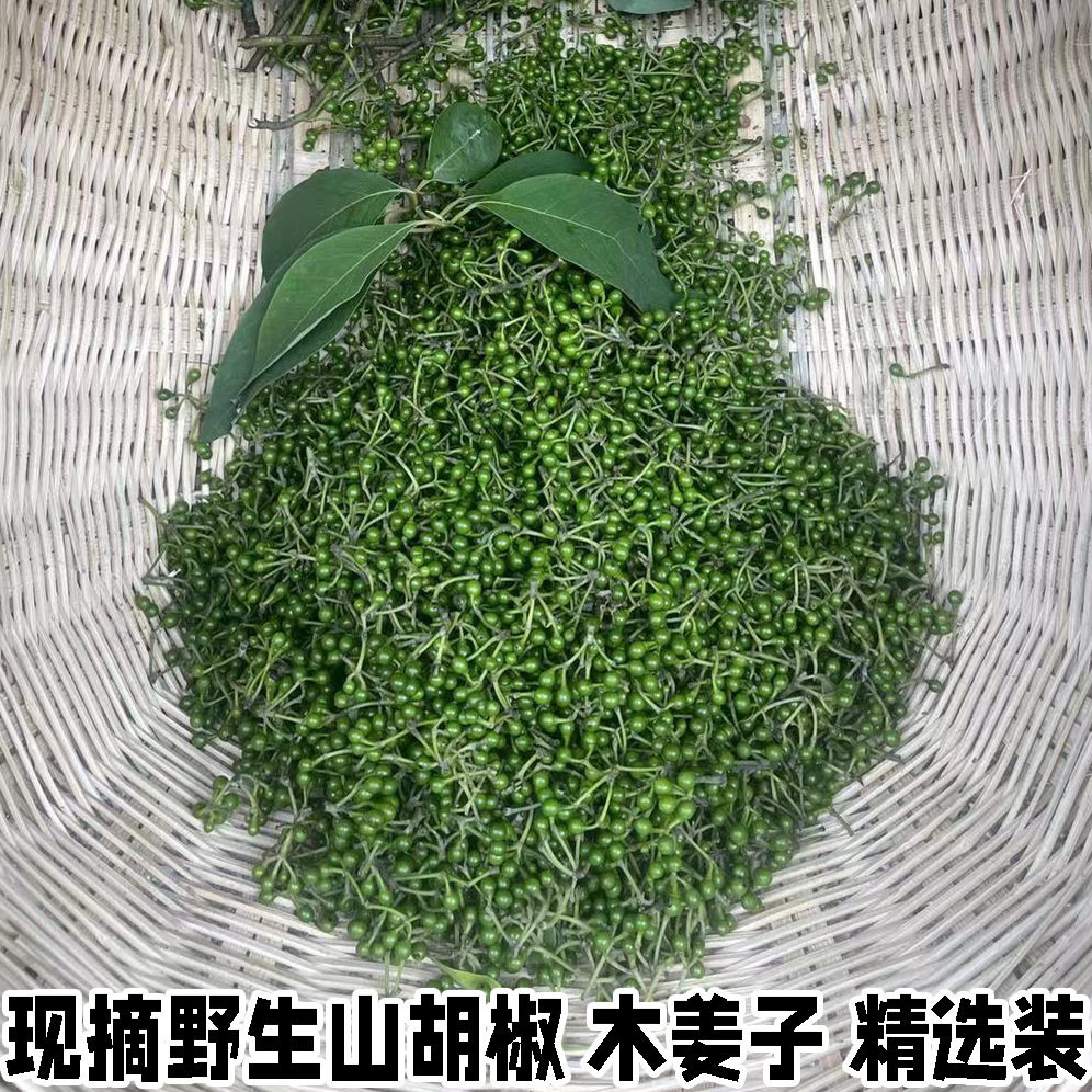 野生山胡椒新鲜木姜子现摘
