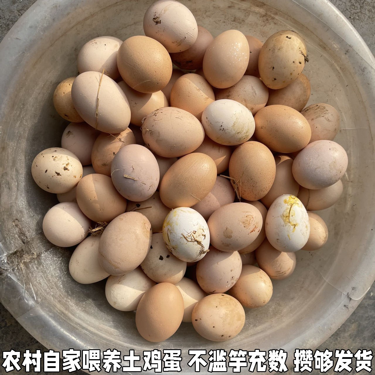正宗土鸡蛋农村自养老母鸡鸡蛋