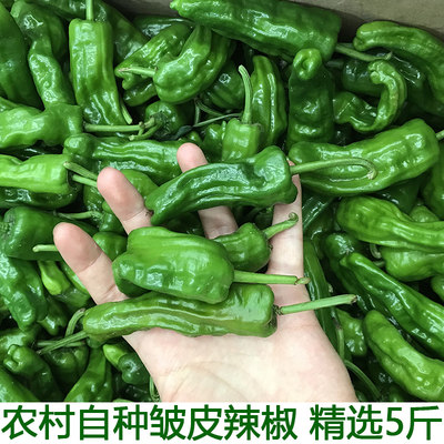 湖北农家新鲜蔬菜皱皮椒