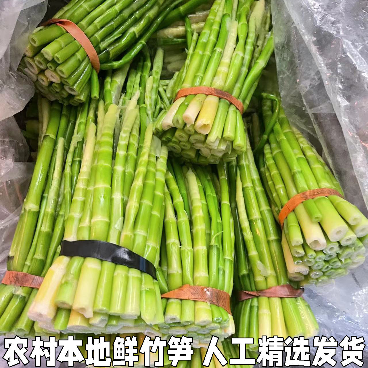 现挖野生竹笋去壳细笋水竹笋小春笋春笋手剥笋农家新鲜山竹笋新鲜