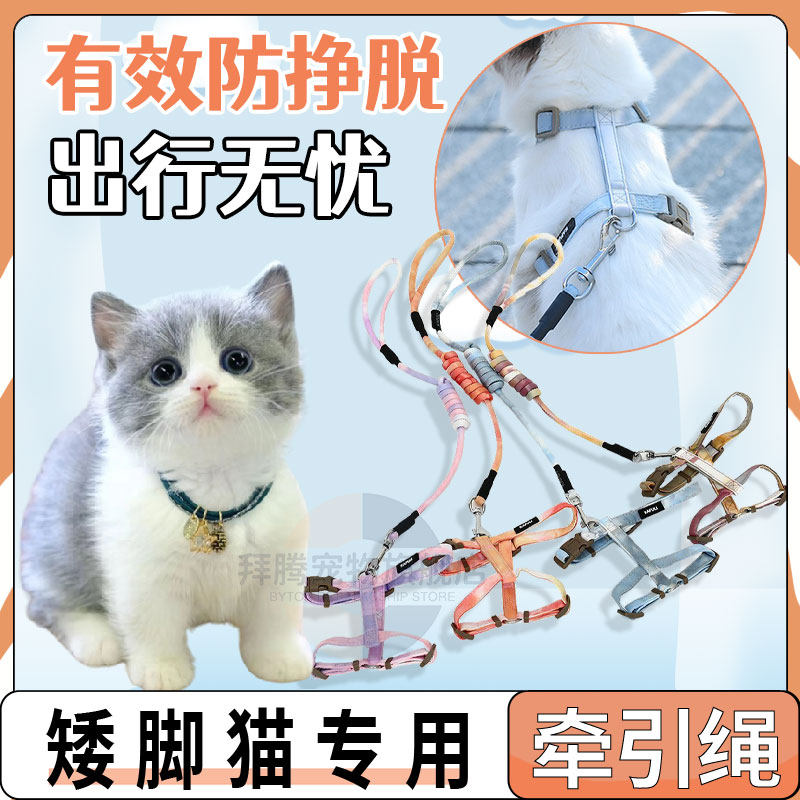 矮脚曼基康猫专用猫咪工字型牵引绳遛猫绳子防挣脱拴猫链子可调节
