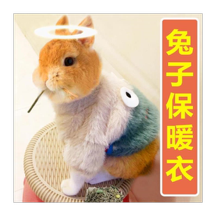 兔子衣服宠物秋冬季保暖小侏儒兔垂耳兔穿的衣服防冷天可爱专用品