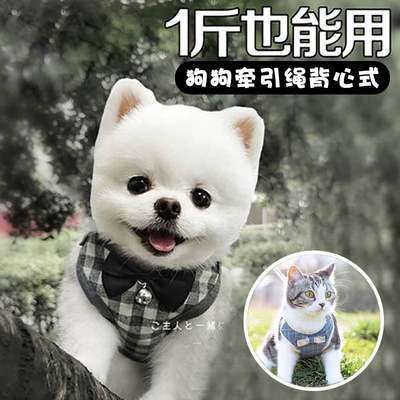 狗狗牵引绳小体型奶狗博美背心式胸背带吉娃娃茶杯犬宠物猫咪专用