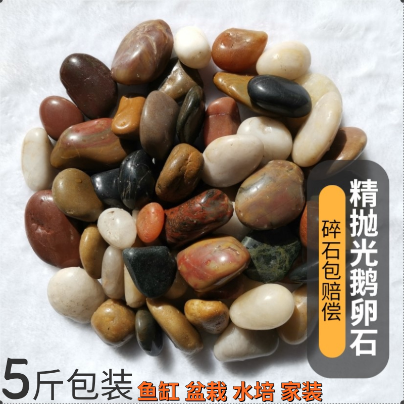 鱼缸底石子底砂铺底造景石鱼池底部装饰小石头彩色天然鹅卵石造景