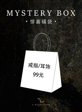 Z-WINDSTORM 惊喜福袋捡漏盲盒原创小众设计超值全新戒指耳饰项链