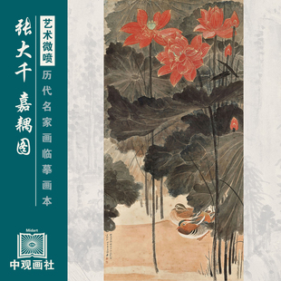张大千花鸟画选集近代花鸟画国画原作微喷临摹画稿仿古装饰画