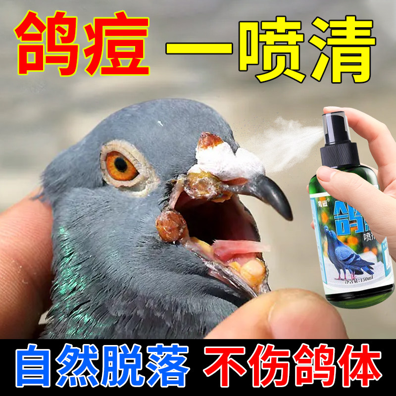 鸽子专用药专治赛鸽幼鸽眼角爪子口腔长痘鸽豆鸽子药鸽特效鸽痘药