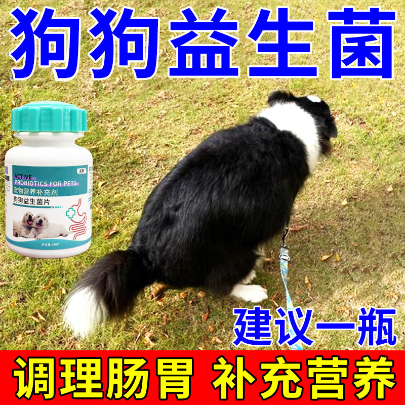 狗狗益生菌调理肠胃促消化