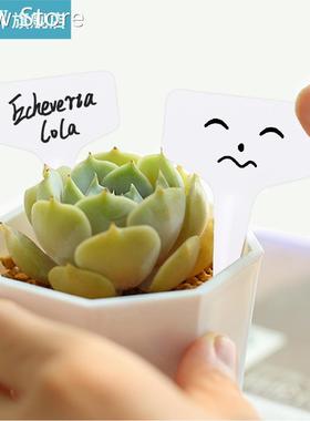 100pcs Plastic Plant Waterproof Stick/T-type Convenient Thic