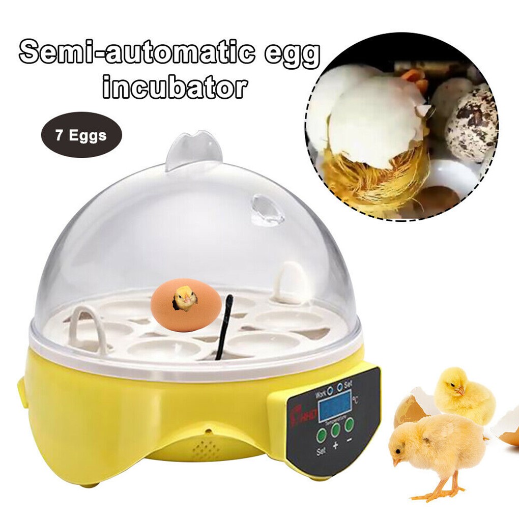 7 Eggs Incubator Chicken Ducks Egg PID Automatic Hatcher int