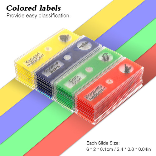 48pcs/set Slide Plastic Prepared Microscope Slides Animals I