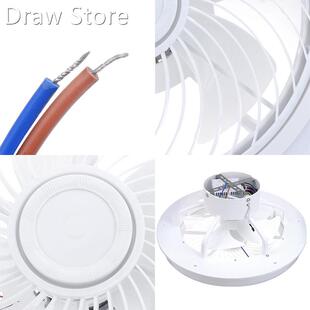 Modern Ceiling Fan with Lights Remote Control Ceiling Fans L