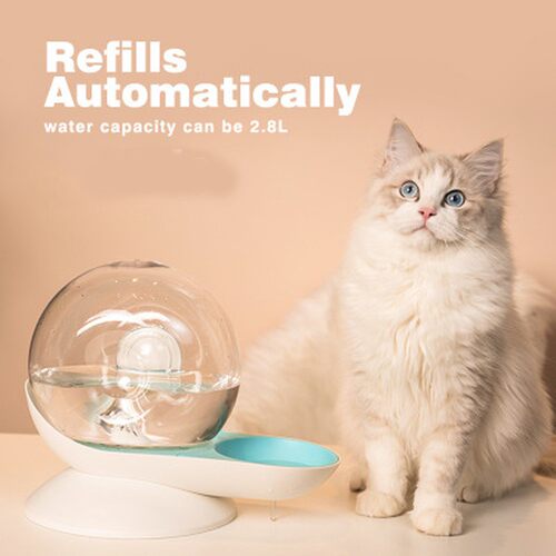 Snails Pet Automatic  Bubble Cat Water Bowl Fountain For Pet