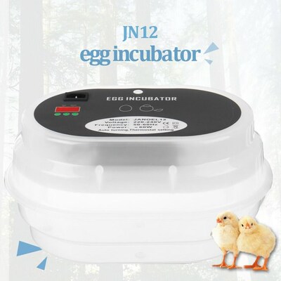 220V Farm Hatchery Incubator Brooder Machine Hatching 12 Egg