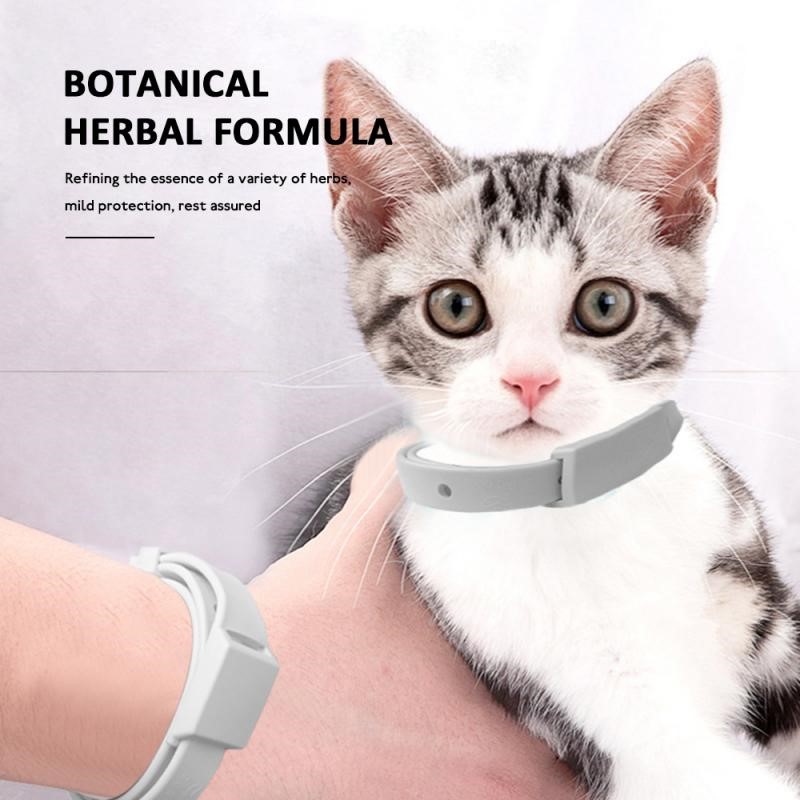 New Adjustable Pet Collar Cat Accessories 8 Months Protectio