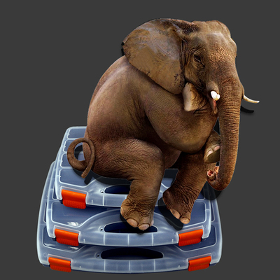 New Toolbox Practical ABS Plastic Screw Tool Storage Box wit