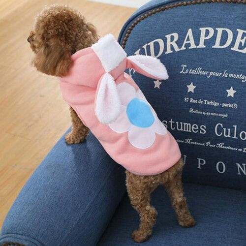 Winter Dog Clothes Teddy Rabbit Ear Hoodie Two-legged Cotton
