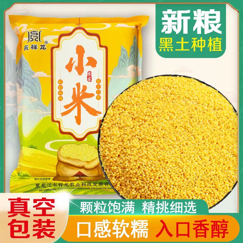 永祥龙新小米东北黄小米农家种植小米东北特产杂粮月子米粥米